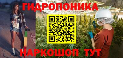 бошки Кимры