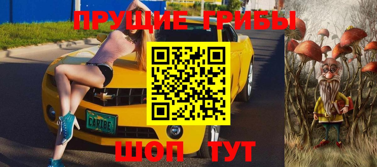 Галлюциногенные грибы Cubensis  Псилоцибиновые грибы мицелий  Вход с VPN  Щёкино 